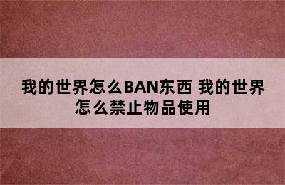 我的世界怎么BAN东西 我的世界怎么禁止物品使用